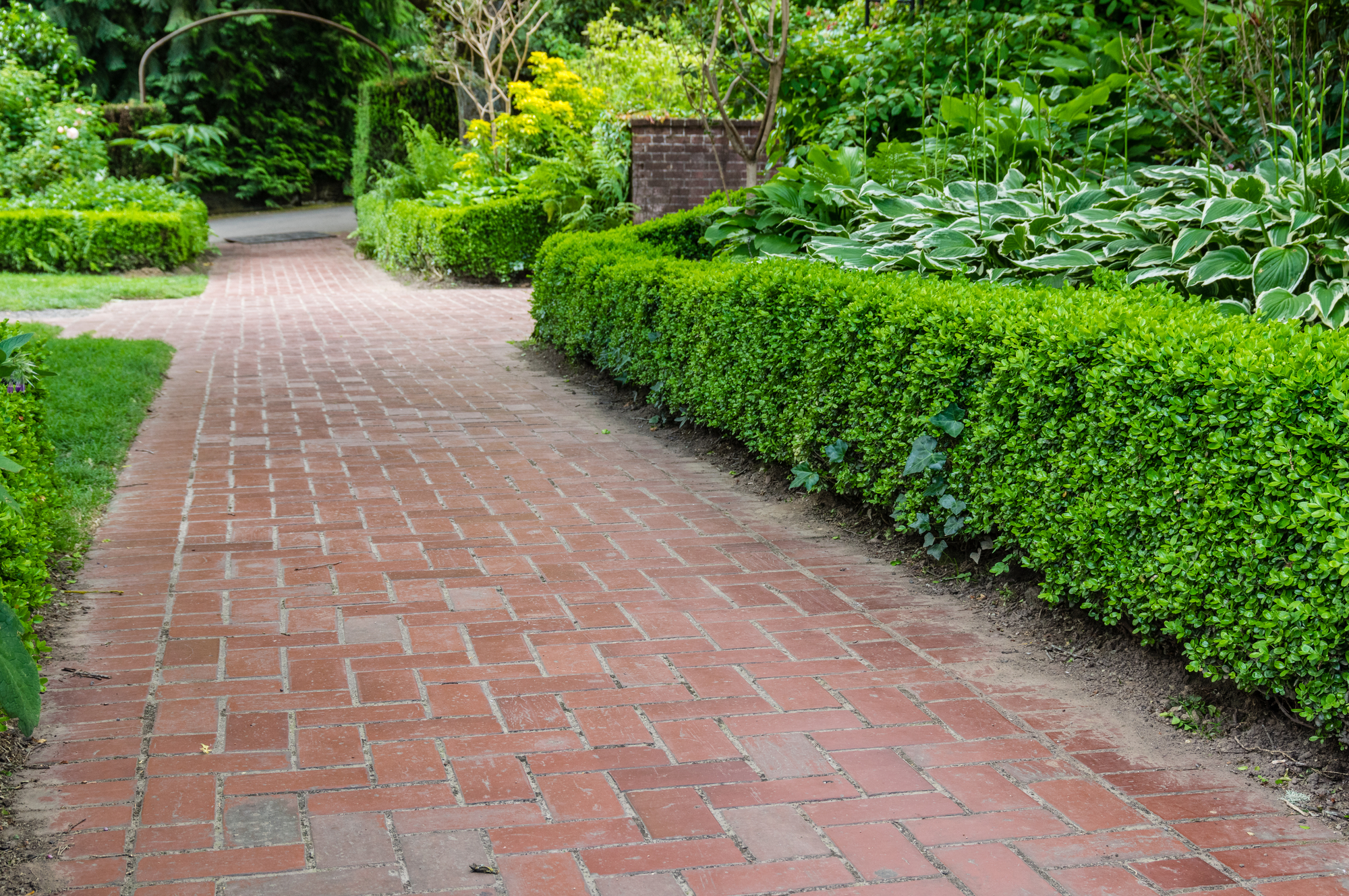 Brick pathways through a garden